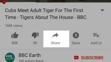 YouTube Download screenshot 3
