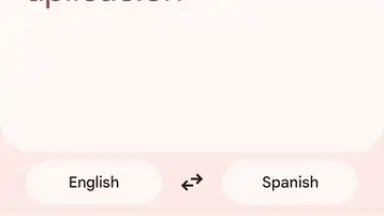 Google Translate screenshot 13