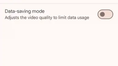 Google Meet screenshot 11
