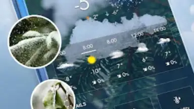 Local Weather Widget screenshot 9