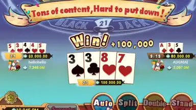 Blackjack Maniac screenshot 3