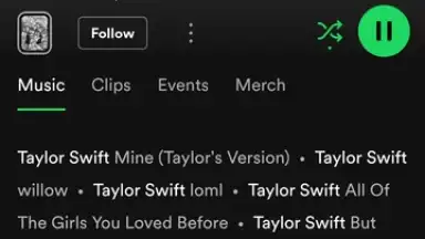 Spotify screenshot 26