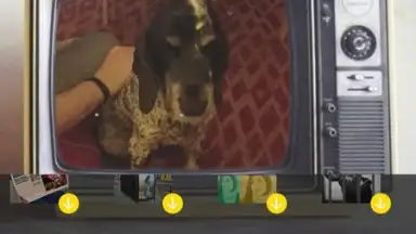 V Camera screenshot 5