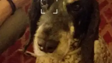 V Camera screenshot 7