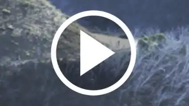 HD Video Downloader Free screenshot 9