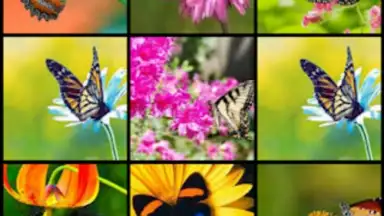 Butterfly Flower for DoodleTex screenshot 3