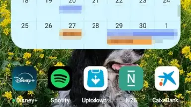 Google Calendar screenshot 8