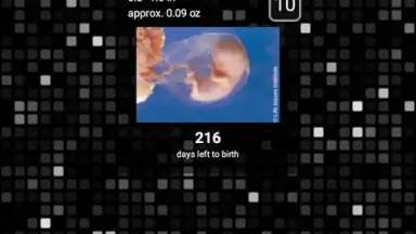 Pregnancy Assistant screenshot 1
