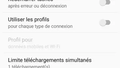 IDM (internet download menager) screenshot 5