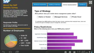 SAP BI screenshot 1