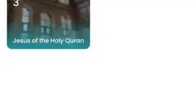 The Holy Quran - English screenshot 1