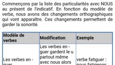 Le Conjugueur screenshot 4