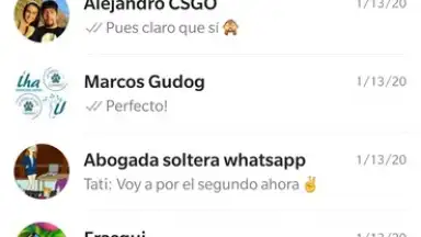 WhatsApp Messenger screenshot 26