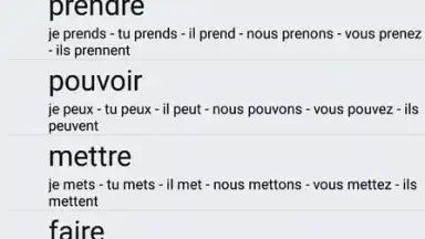 Le Conjugueur screenshot 5