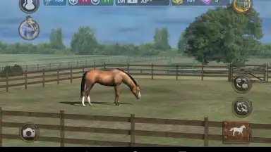 My Horse screenshot 8