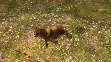 Deer Hunter Classic screenshot 4
