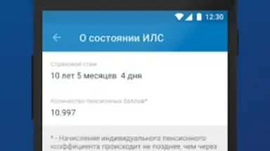 ПФР Электронные сервисы screenshot 3