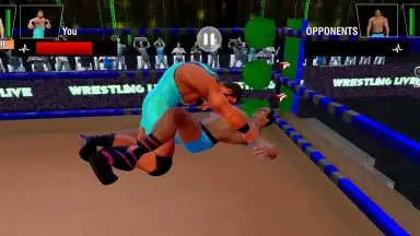 Tag Team Wrestling Games: Mega Cage Ring Fighting screenshot 11