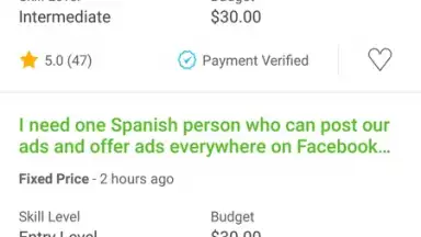 Upwork screenshot 2