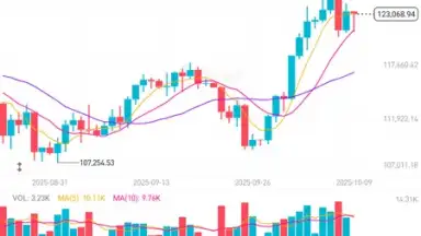 Bitget screenshot 12
