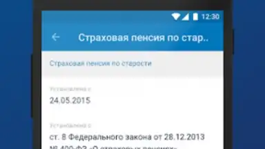 ПФР Электронные сервисы screenshot 2