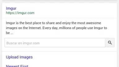 Ding Browser screenshot 2