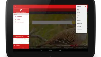 Anonymous Browser screenshot 4
