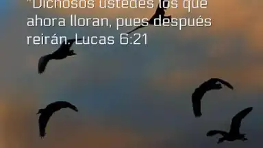 Promesas screenshot 3