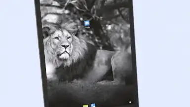 Android 13 Launcher screenshot 12