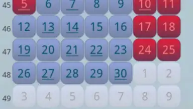 Простой Календарь Выходных РФ screenshot 6