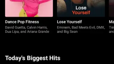 YouTube Music screenshot 14