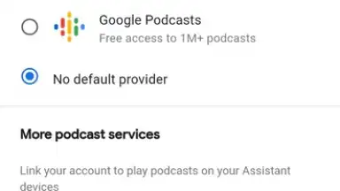 Google Home screenshot 2