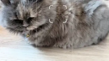 Camera Go screenshot 12