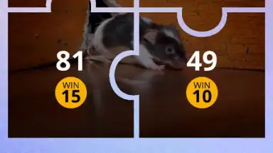 100 PICS Puzzles screenshot 5