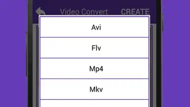 Video Converter screenshot 1