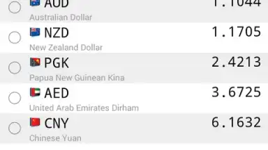Daily Currency Rates screenshot 1