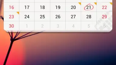 GO Calendar Widget screenshot 3