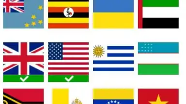 Flag quiz game screenshot 8