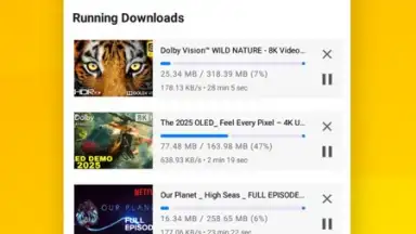 Vidora YouTube Downloader | free & fast screenshot 6