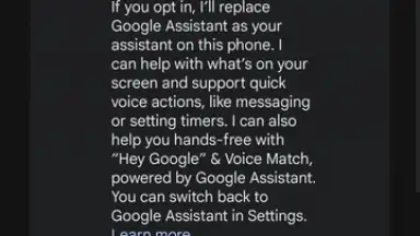 Google Gemini screenshot 2