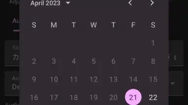 YTDLnis screenshot 6