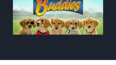 Buddiesbrowser screenshot 3