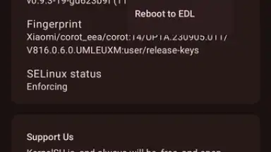 KernelSU screenshot 5