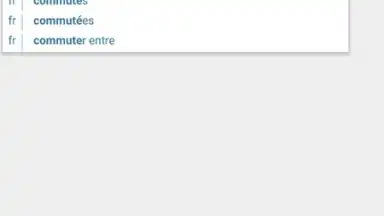 Reverso Translation Dictionary screenshot 6