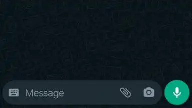 WhatsApp Messenger screenshot 23