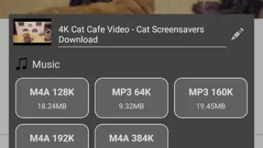 Stellar Browser screenshot 1