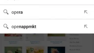 Opera Browser screenshot 15