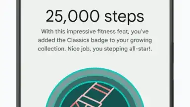 Fitbit screenshot 9