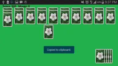 Spider Solitaire Game screenshot 5