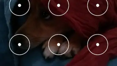 Droid Protector screenshot 3